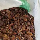 للبيع 120كيس تمر علف