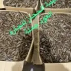 مروكي ذهبي جملة الجملة