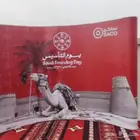 طباعة بوب اب و طاوله بوب اب مقاس 2 في 3 بوب اب مقاس 3 في 3 ب