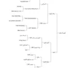 فرس واهو