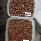 بطحاء حايل حمراء