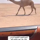 جمل