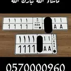 للبيع لوحة مميزة جدا 1