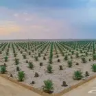 حفر وحفريات بوكلين بكلينات
