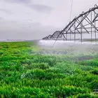 للبيع مشروع زراعي كبير بتبوك