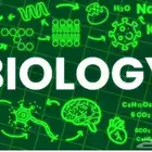 مدرس دكتوراه فى البيولوجى للسنه التحضيريه