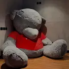 دب عملاق جديد متوفر 2 حبه