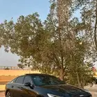 k8 مديل 2022