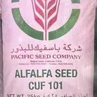 للبيع برسيم باسفيك كاف 101