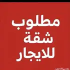 مطلوب شقه للإيجار