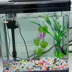 حوض سمك ذكي