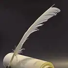 شاعر اكتبلك قصايد حسب مناسبتك