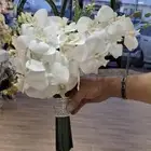 تنسيق حفلات