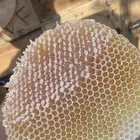 عسل سدر او سدره