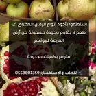 رمان الباحه