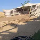 بيت شعر تركي