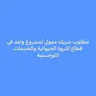 مطلوب شريك ممول لفرصة استثمارية واعدة