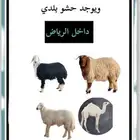 ذبايح مع خدمة الصلخ التوصيل الرياض