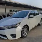 كرلا 2015 gli مكينه2000