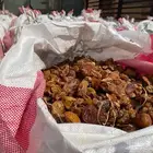 تمر علف نفيع