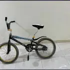 كوبرا