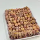 د خل للبيع