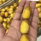 رطب خلاص وروثانة