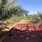 مزرعة مع الاستراحة ايجار يومي.