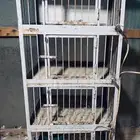 محكر حديد ربع أدوار العدد 1