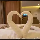 فندق دبليو سويتس ابها
