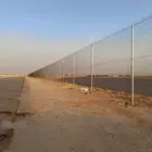 نخيل