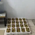 رطب برني فاخر وليمون ابو زهير