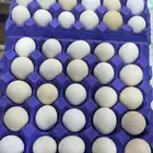 بيض بلدي طازج ( بيشة )