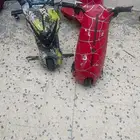 سكوترين للبيع