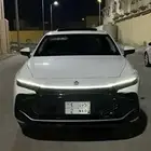 لوحة مميزة رقم 2