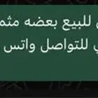 ضبان نخل القريات احجام طيبه وبعضها مثمر