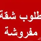 مطلوب شقة مفروشة