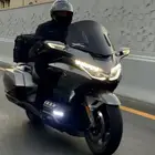 (( تم البيع )) قولد وينج 2018