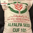 بذور برسيم باسفيك كاف 101