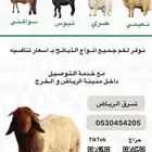 بيع بهم