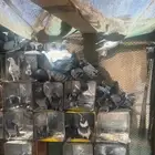 طيور حمام لبيع