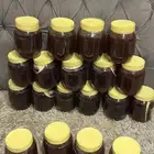 عسل السدر الحضرمي اصلي