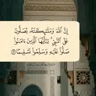 اي شركة مقاولات تبحث عن مشاريع