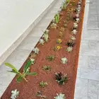 بطحا حائل