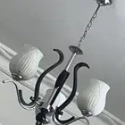 نجف