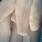 اسماك ولحوم مجمده