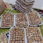بلح