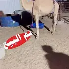 تم البيع
