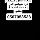 ببغاء مفقود الي يحصله يتواصل معي