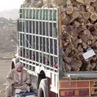 مطلوب حملة دنه حطب في رنيه